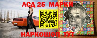 стаф Можга