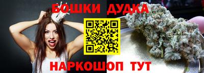 Альфа ПВП Моздок