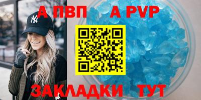 стаф Можга