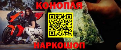 стаф Можга