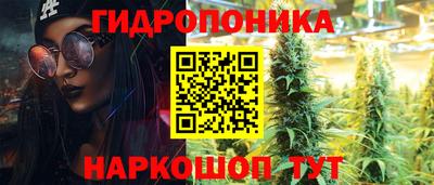 Альфа ПВП Моздок