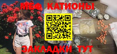 стаф Можга